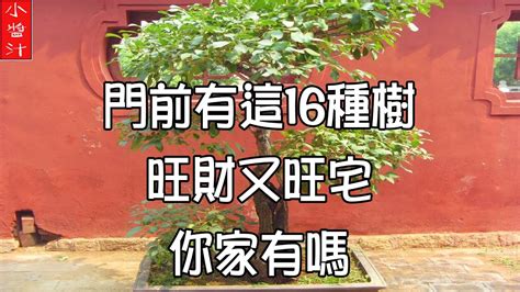 屋後有樹|庭院風水：門前屋後種樹有講究